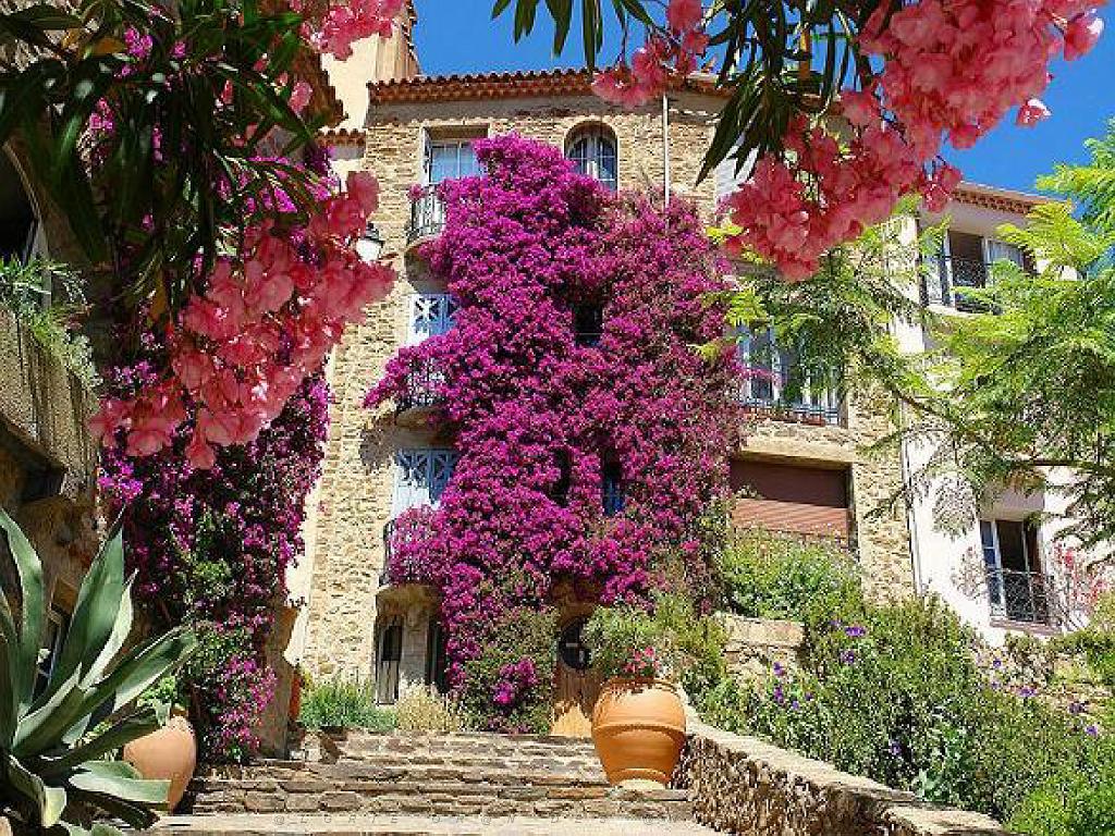 183 D23 BORMES LES MIMOSAS 1_000033.jpg